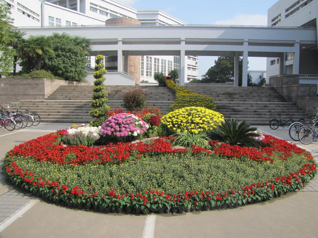 亚美AM8AG·(中国区)官方网站