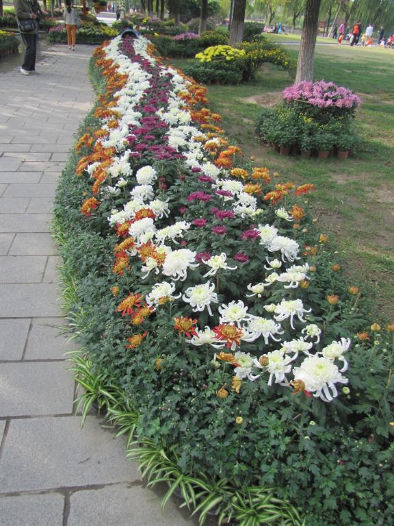 亚美AM8AG·(中国区)官方网站