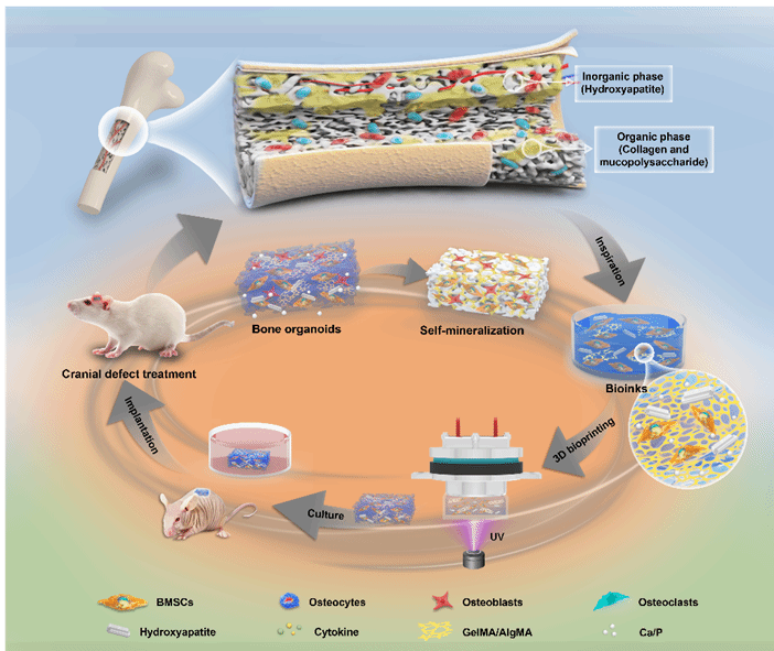 亚美AM8AG·(中国区)官方网站