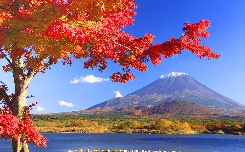 亚美AM8AG·(中国区)官方网站