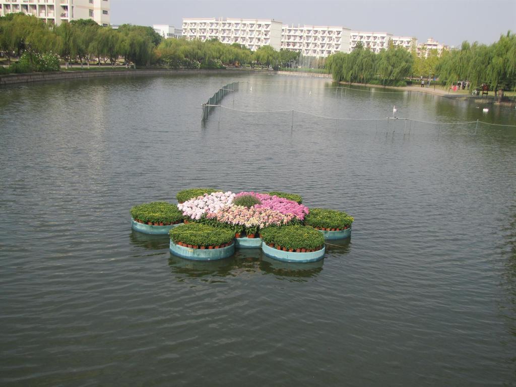 亚美AM8AG·(中国区)官方网站