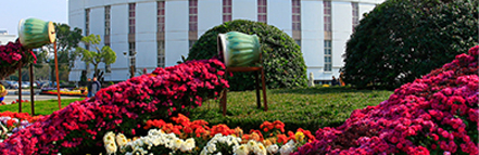 亚美AM8AG·(中国区)官方网站