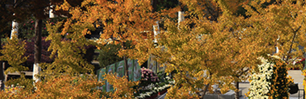 亚美AM8AG·(中国区)官方网站