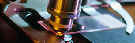 亚美AM8AG·(中国区)官方网站